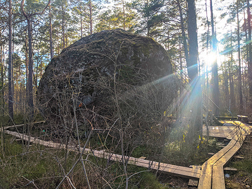 Majakivi trail in Estonia
